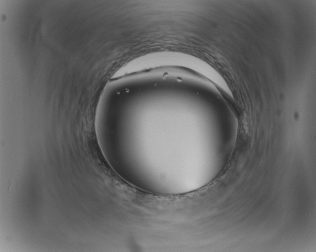 X0000067870037200604201229