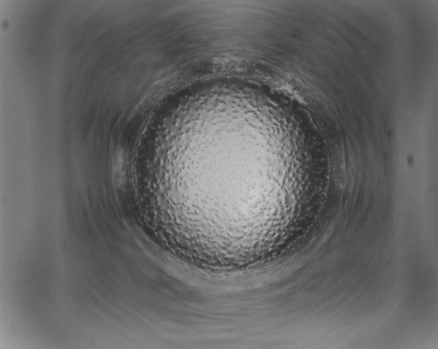 X0000067870038200604201229