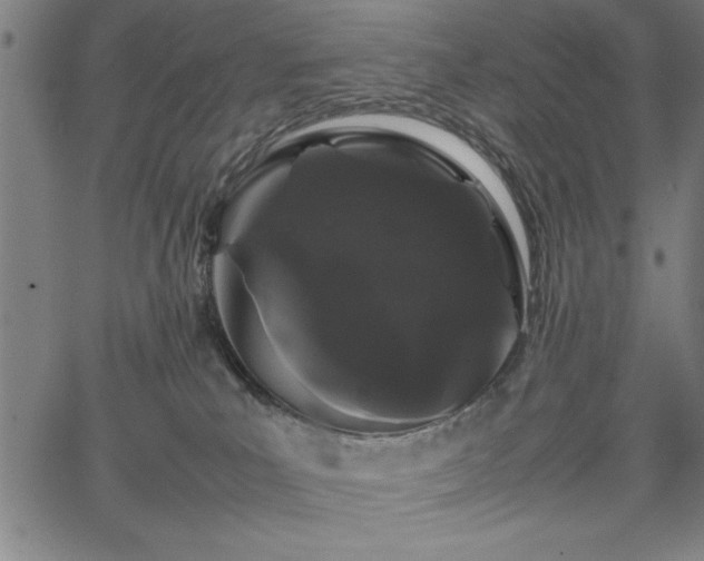 X0000067870039200604201229