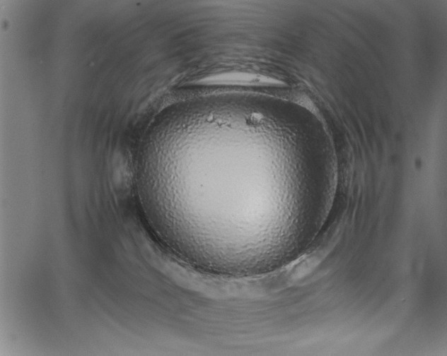 X0000067870040200604201229