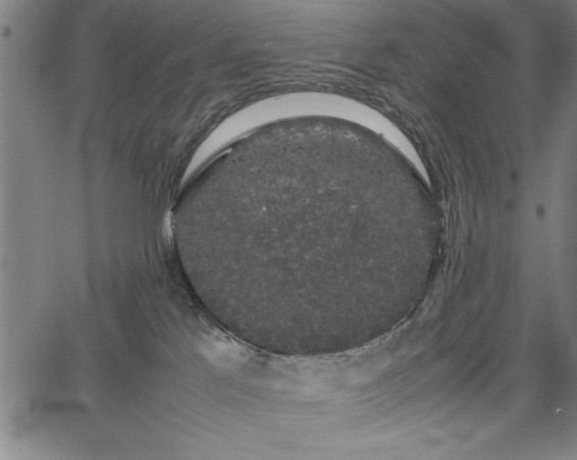 X0000067870041200604201229