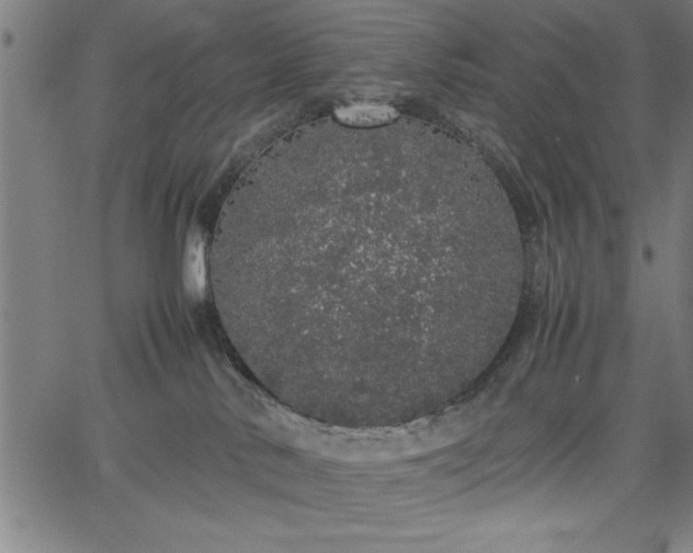 X0000067870042200604201229