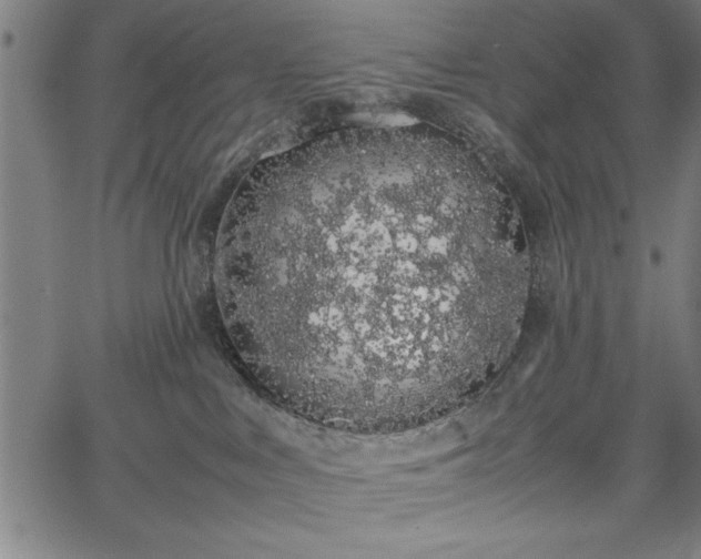 X0000067870043200604201229