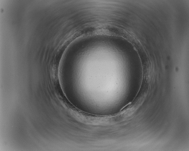 X0000067870044200604201229