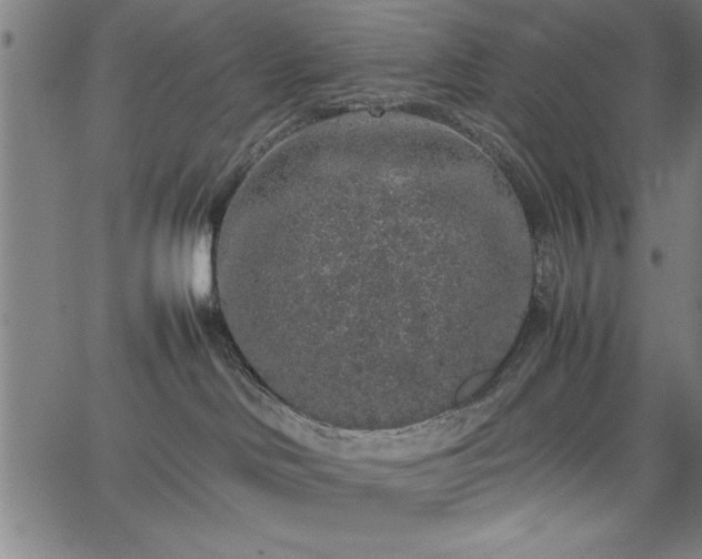 X0000067870046200604201229