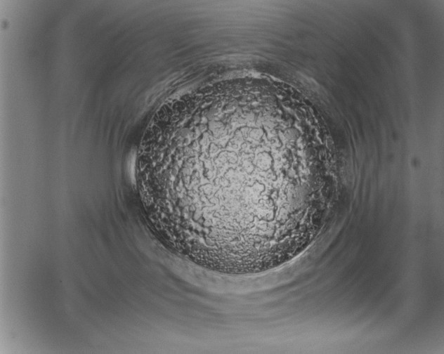 X0000067870047200604201229