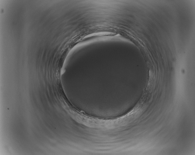 X0000067870048200604201229