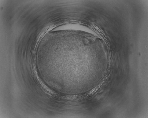 X0000067870049200604201228