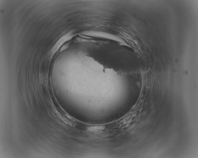 X0000067870051200604201228