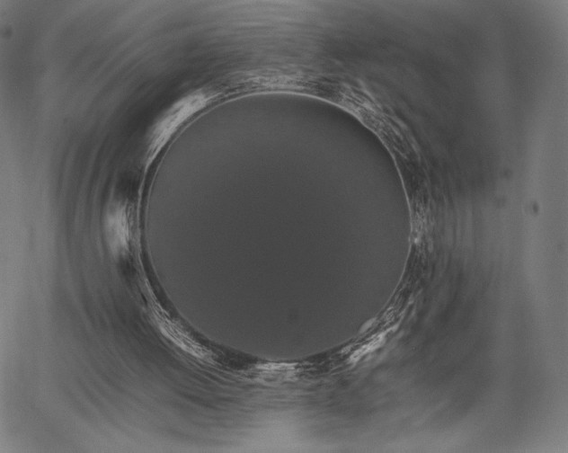 X0000067870052200604201228