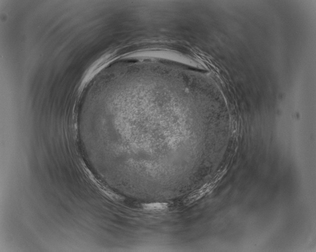 X0000067870053200604201228