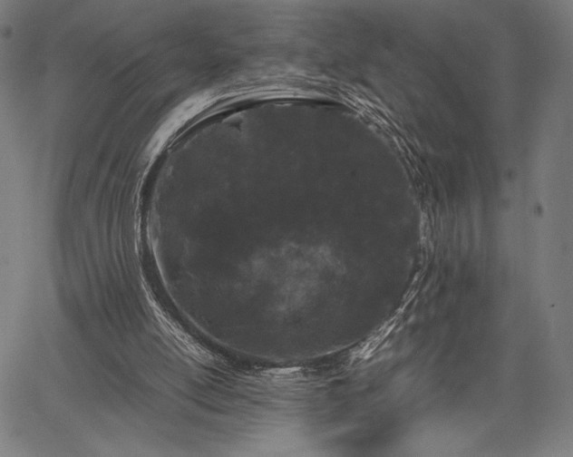 X0000067870054200604201228