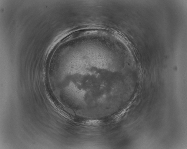 X0000067870055200604201228