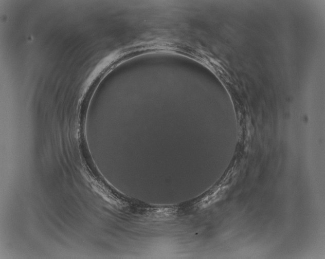 X0000067870056200604201228