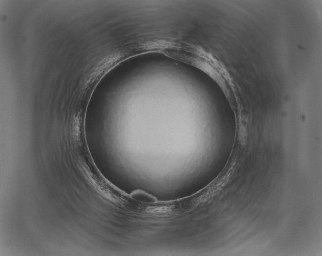 X0000067870057200604201228