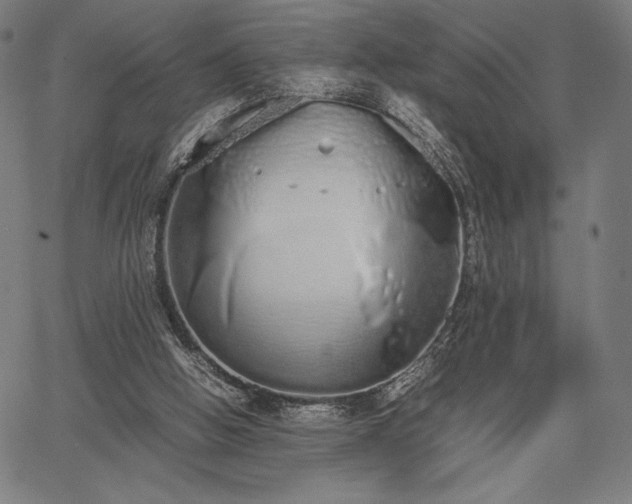 X0000067870058200604201228