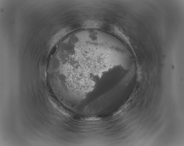 X0000067870059200604201228