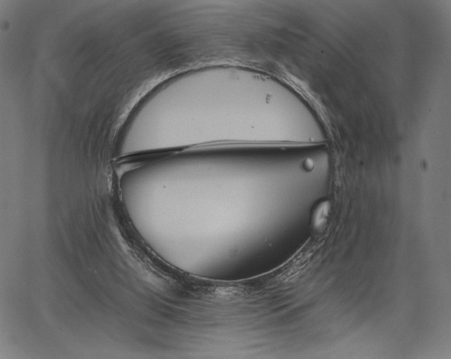 X0000067870060200604201228