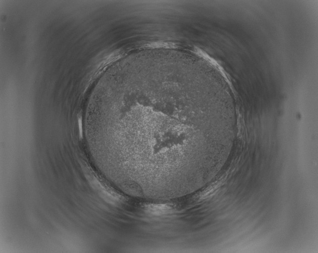 X0000067870061200604201228