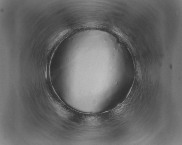 X0000067870062200604201228