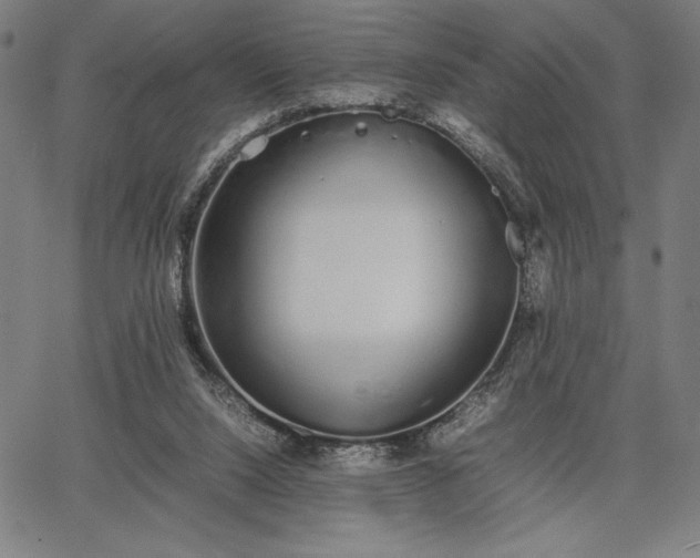 X0000067870064200604201228