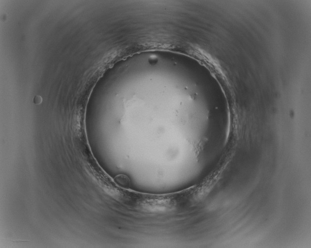 X0000067870065200604201228