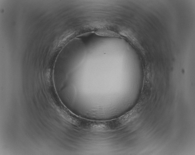 X0000067870066200604201228