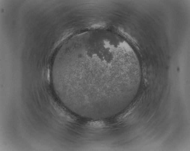 X0000067870067200604201228