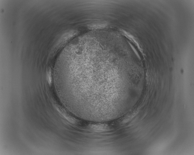 X0000067870069200604201228