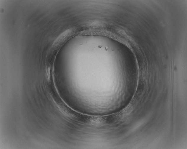 X0000067870070200604201228