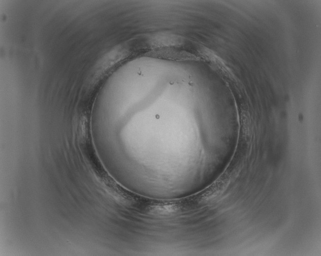 X0000067870071200604201228