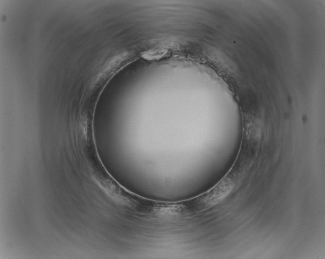 X0000067870072200604201229