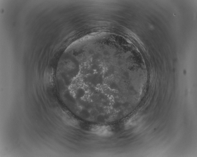 X0000067870073200604201229