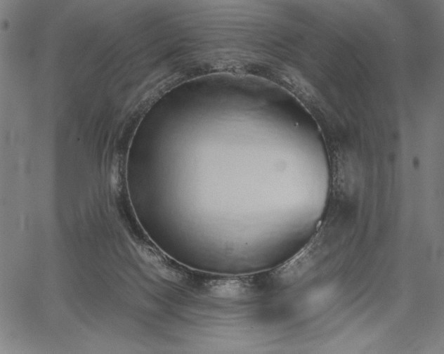 X0000067870074200604201229