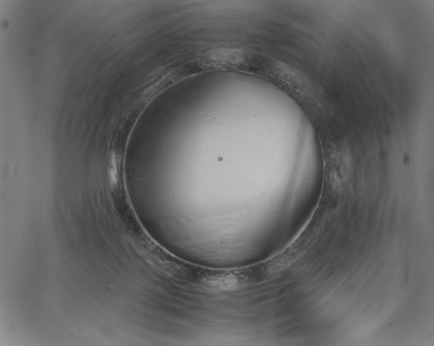 X0000067870075200604201229