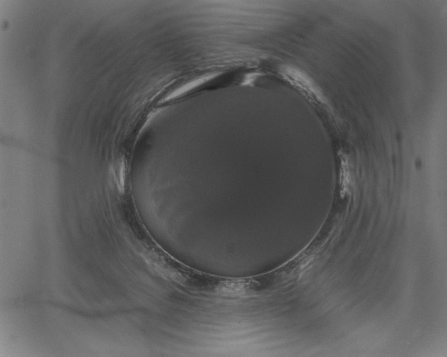 X0000067870076200604201229