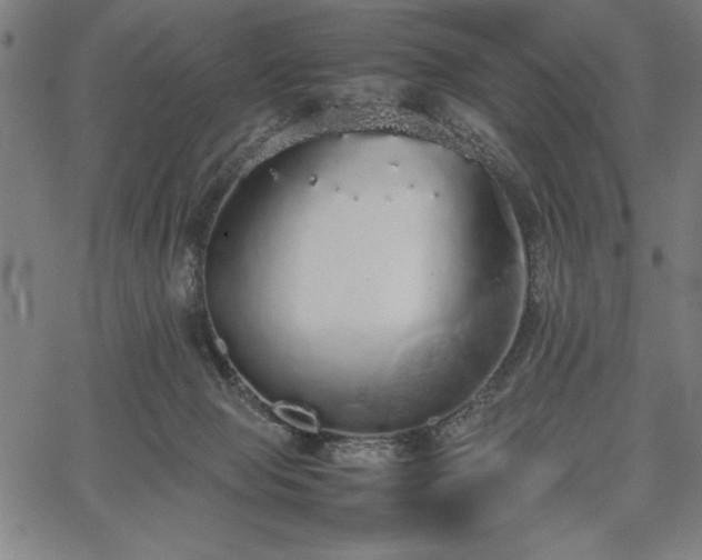 X0000067870077200604201229