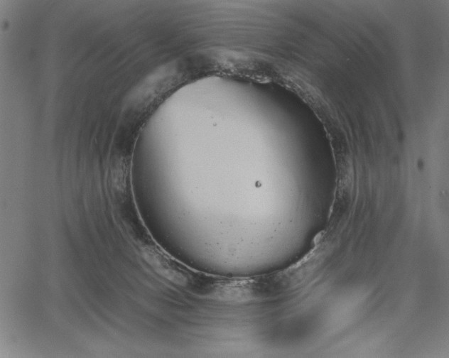 X0000067870078200604201229