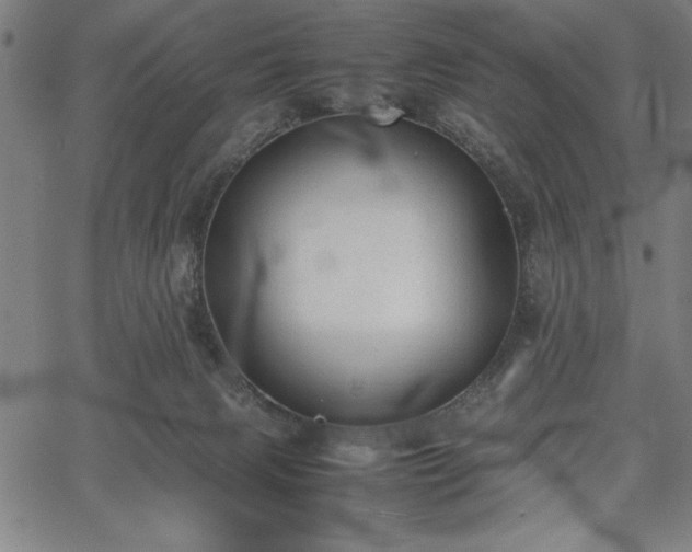 X0000067870079200604201229