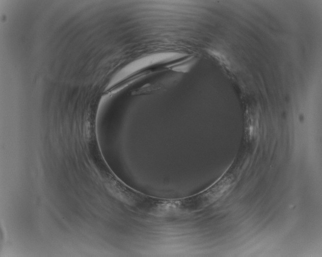 X0000067870080200604201229