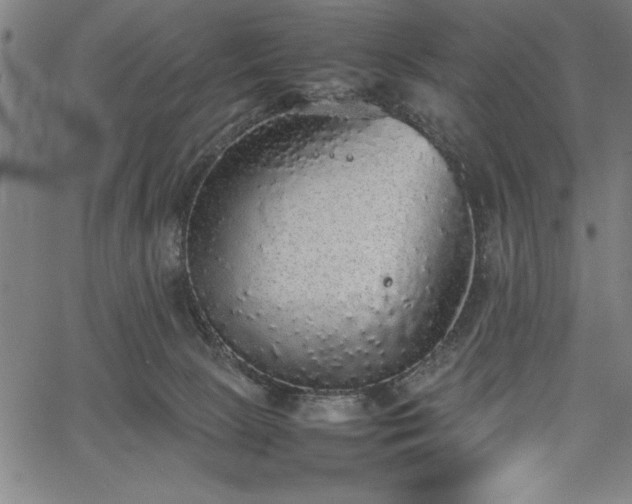 X0000067870081200604201229