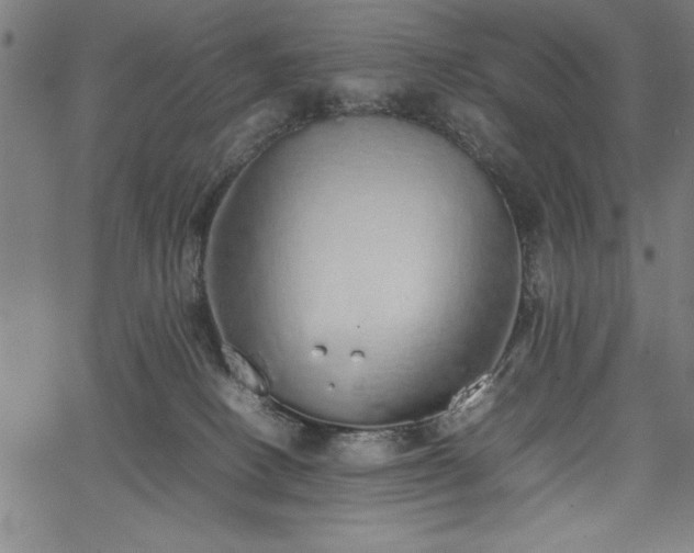 X0000067870082200604201229