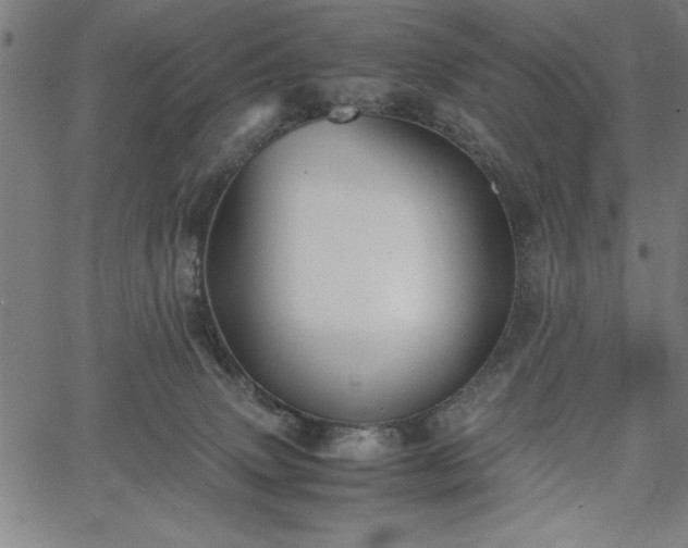 X0000067870083200604201229