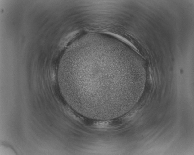 X0000067870084200604201229