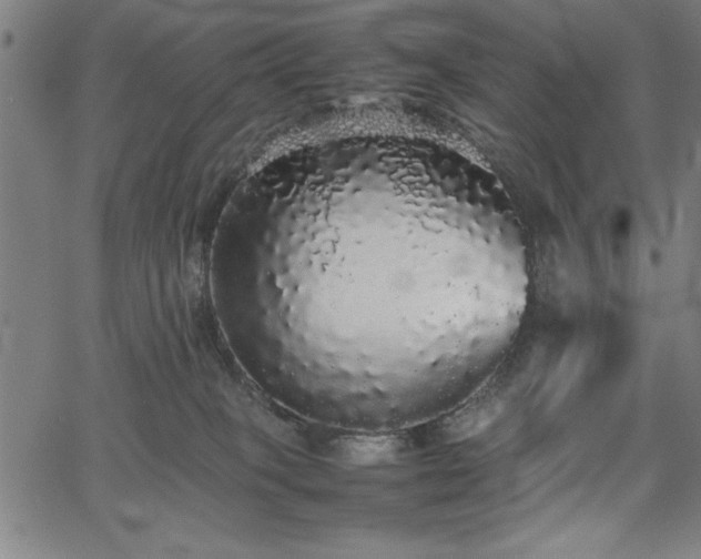 X0000067870085200604201229