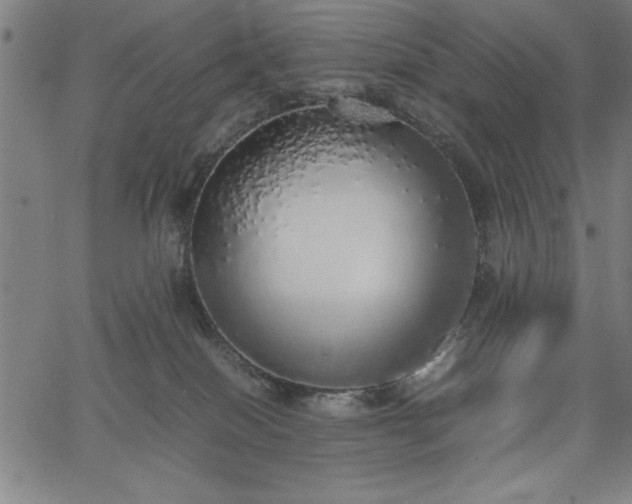 X0000067870086200604201229