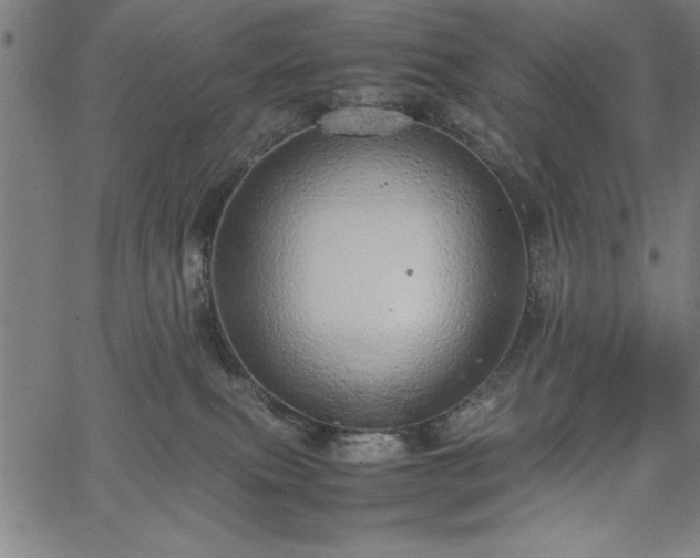 X0000067870087200604201229