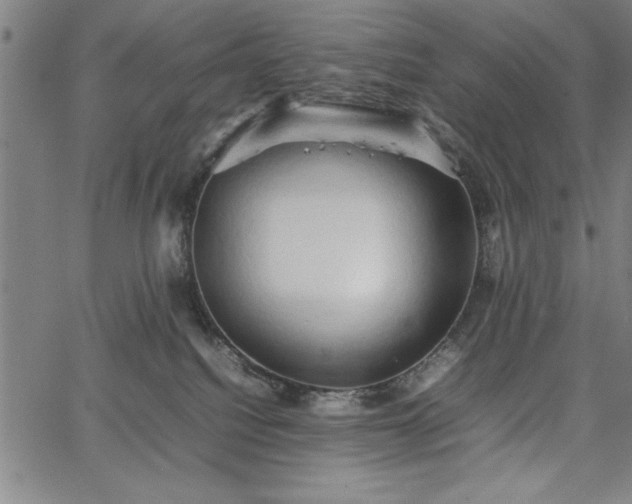 X0000067870088200604201229