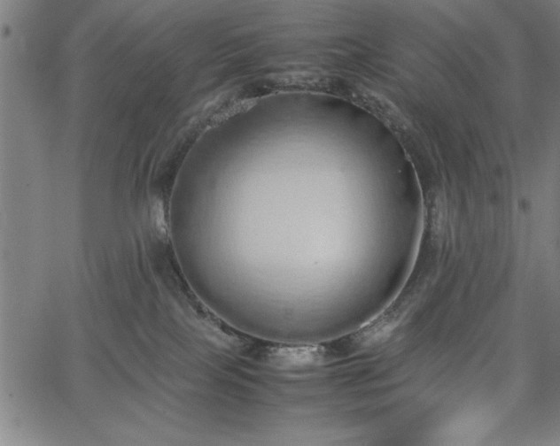 X0000067870089200604201229