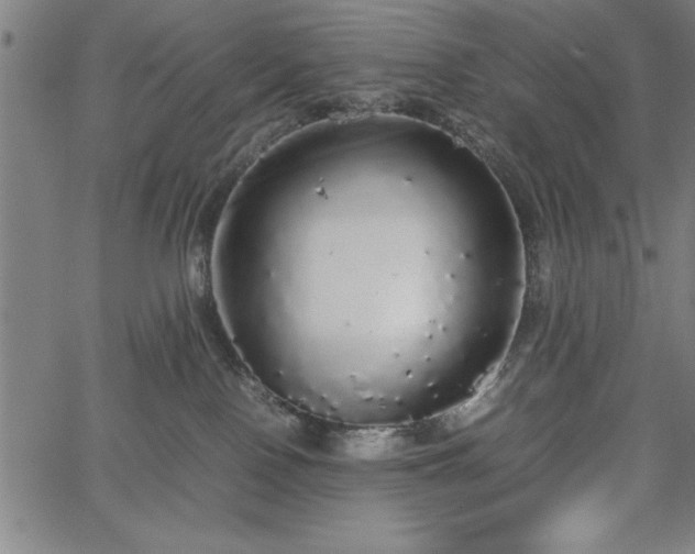 X0000067870090200604201229